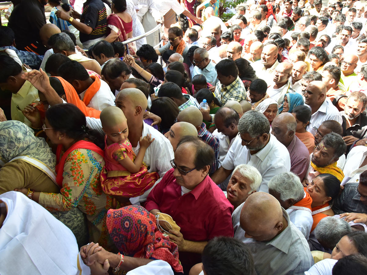 Heavy Rush Pilgrims At Tirumala Photo Gallery - Sakshi22