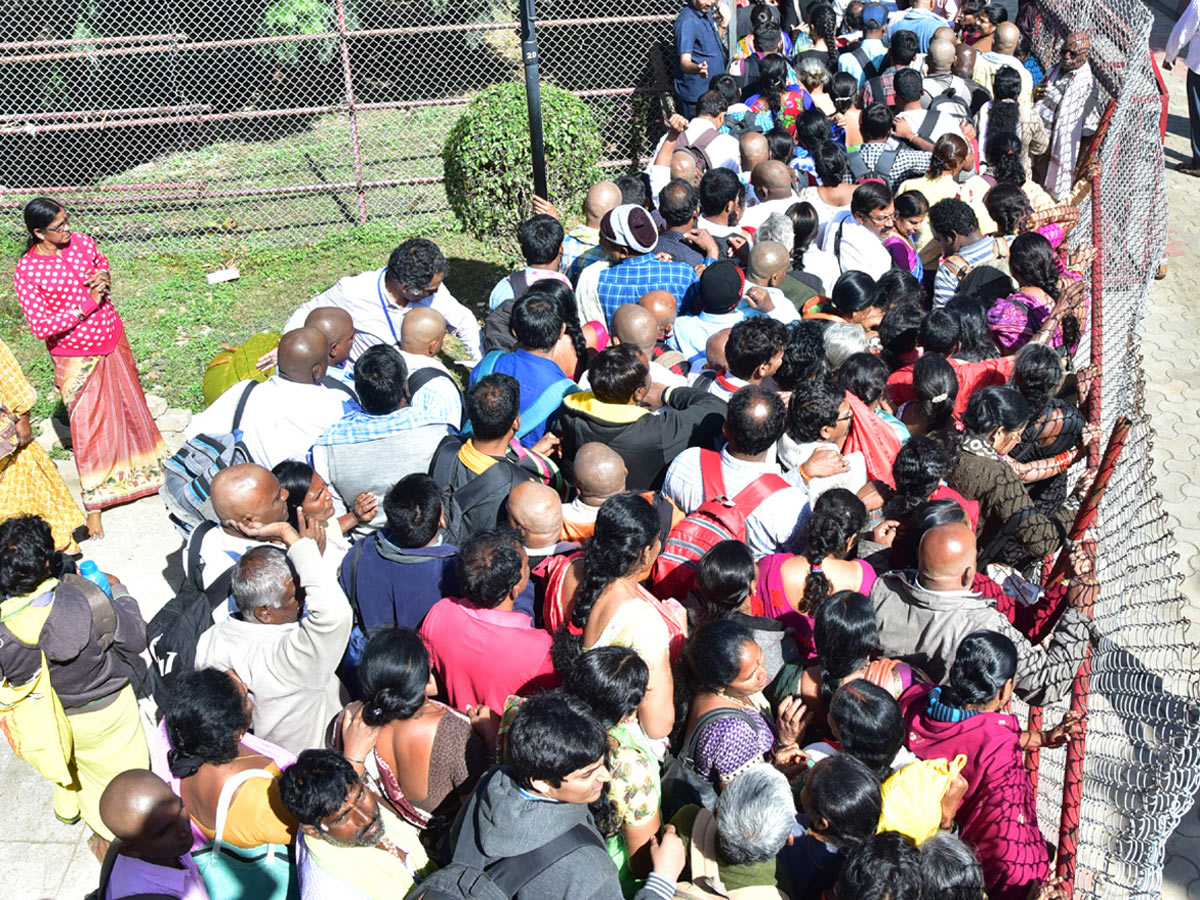 Heavy Rush Pilgrims At Tirumala Photo Gallery - Sakshi23