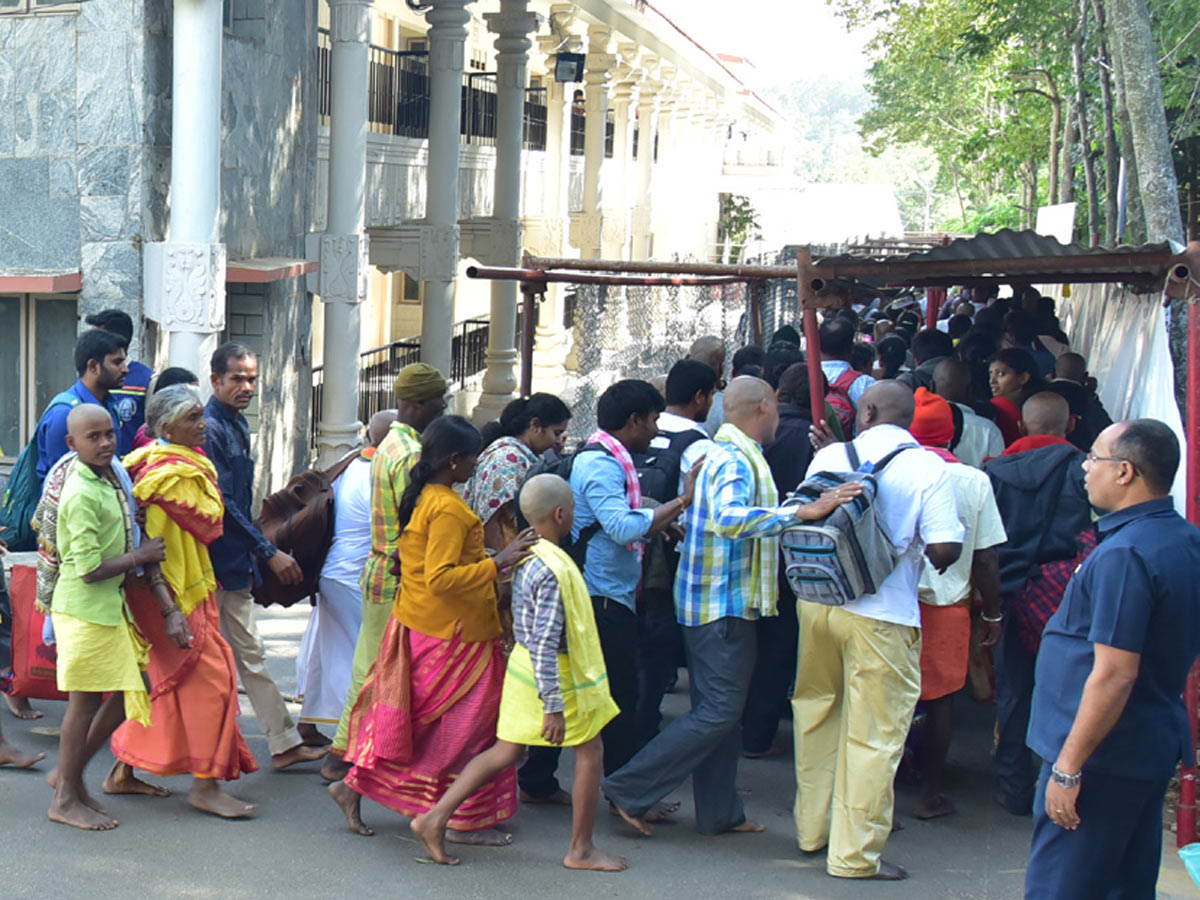 Heavy Rush Pilgrims At Tirumala Photo Gallery - Sakshi25