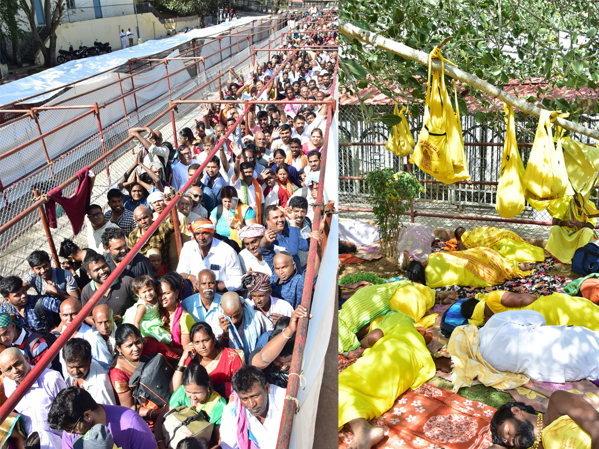 Heavy Rush Pilgrims At Tirumala Photo Gallery - Sakshi29