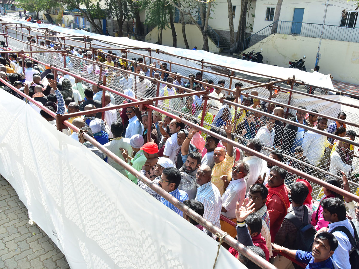 Heavy Rush Pilgrims At Tirumala Photo Gallery - Sakshi3