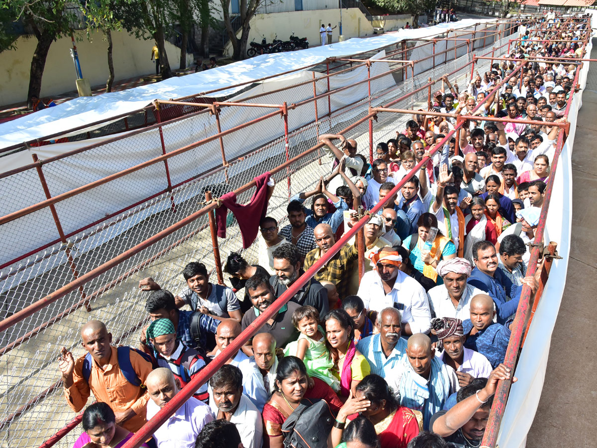 Heavy Rush Pilgrims At Tirumala Photo Gallery - Sakshi5