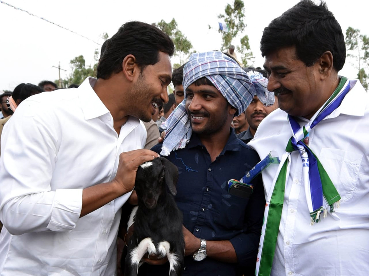 YS Jagan PrajaSankalpaYatra Day 323rd Photo Gallery - Sakshi19