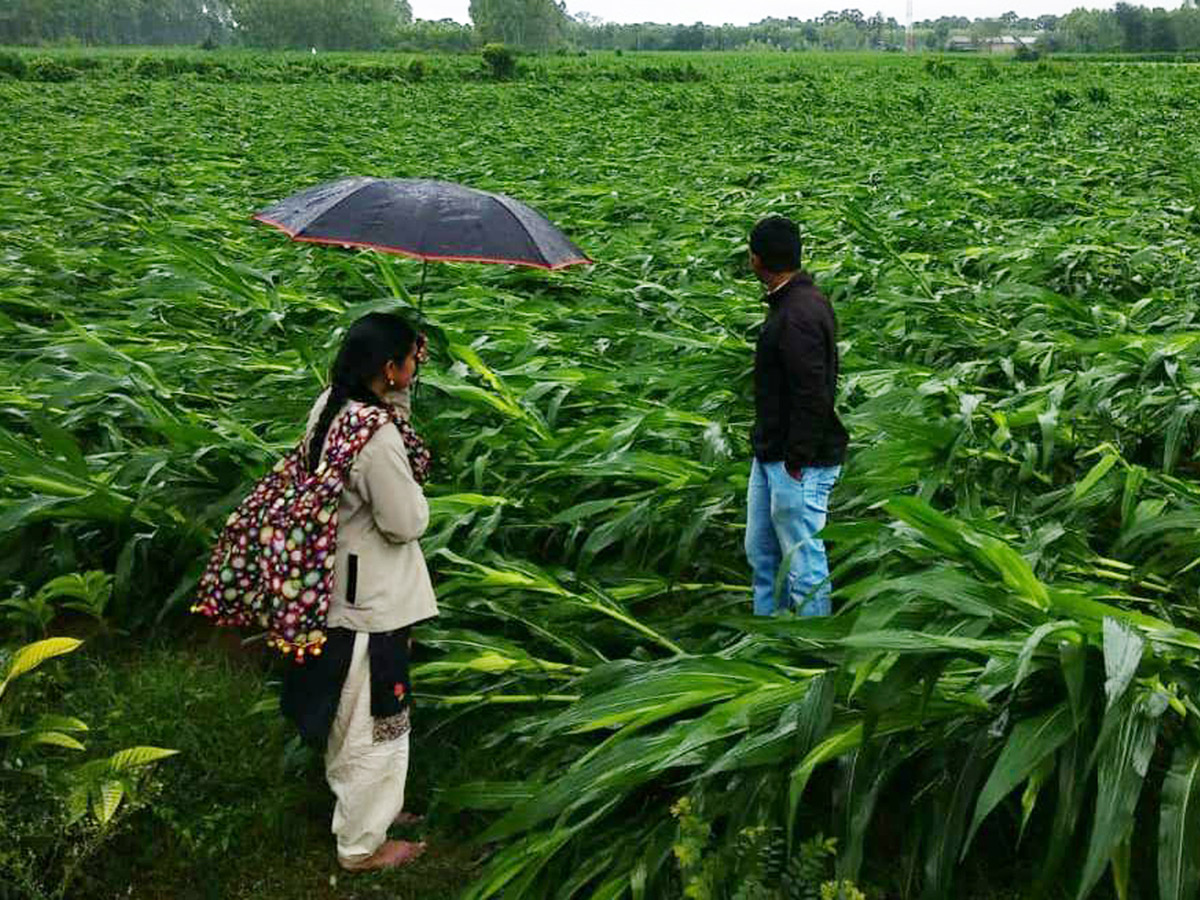 Cyclone Phethai in East Godavari Photo Gallery - Sakshi10