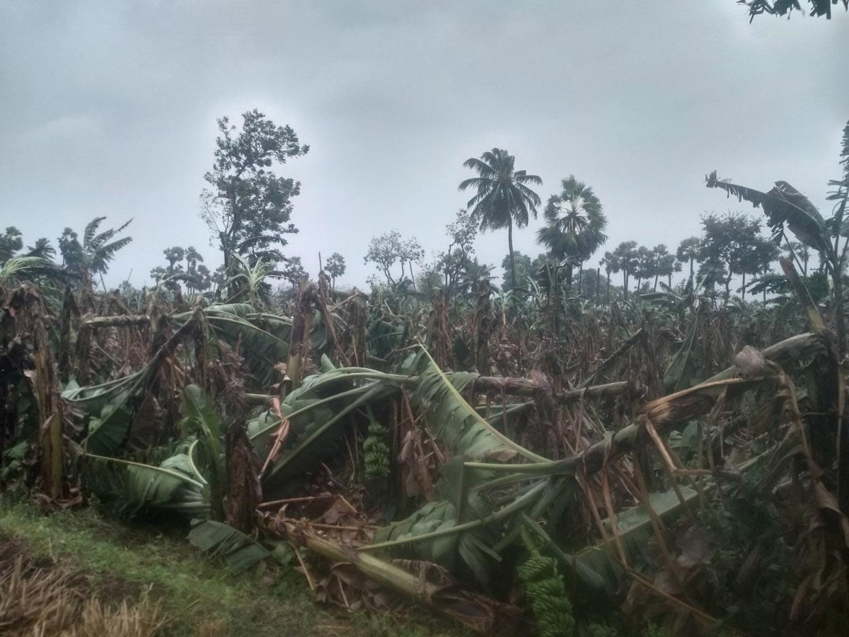 Cyclone Phethai in East Godavari Photo Gallery - Sakshi11