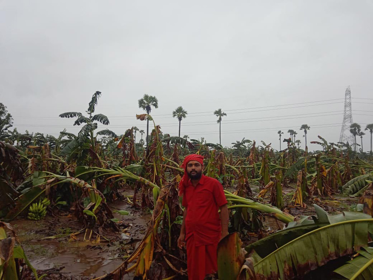 Cyclone Phethai in East Godavari Photo Gallery - Sakshi12