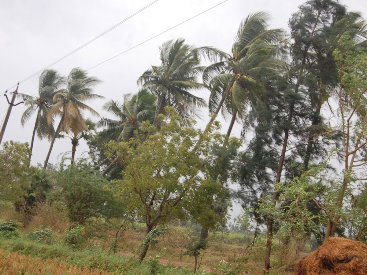 Cyclone Phethai in East Godavari Photo Gallery - Sakshi14