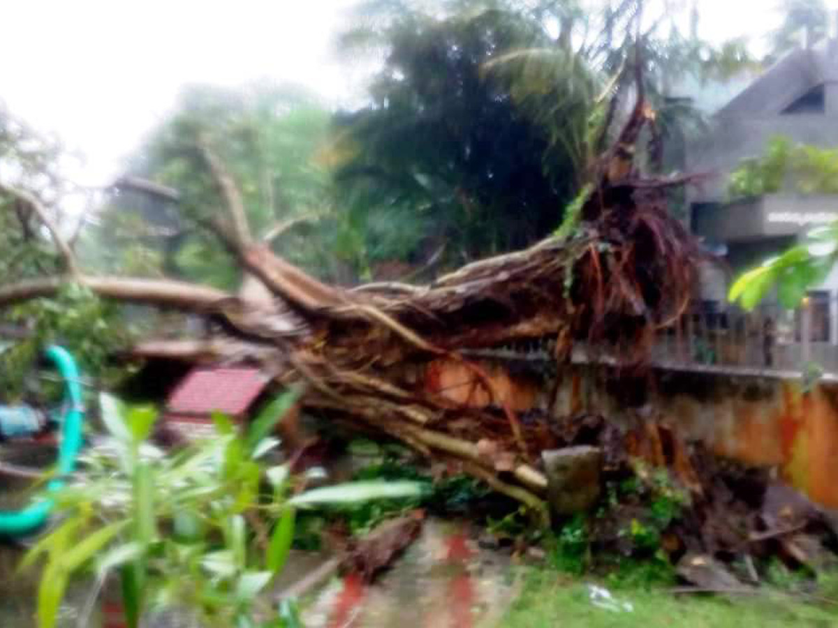 Cyclone Phethai in East Godavari Photo Gallery - Sakshi19