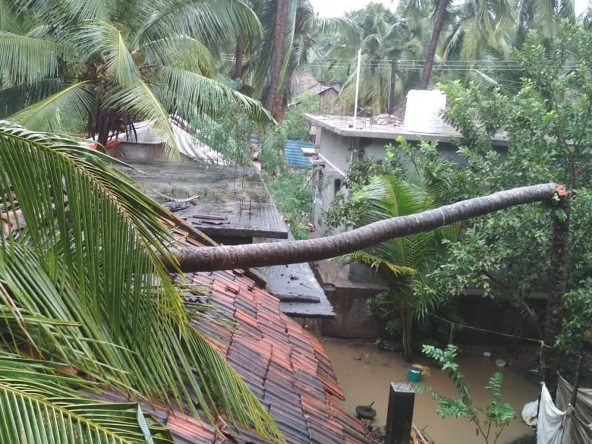 Cyclone Phethai in East Godavari Photo Gallery - Sakshi24