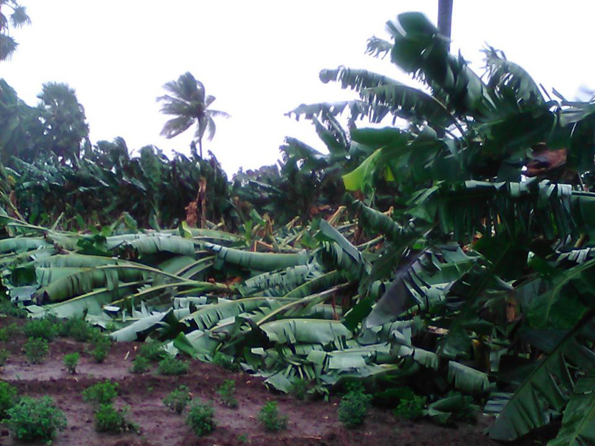 Cyclone Phethai in East Godavari Photo Gallery - Sakshi26