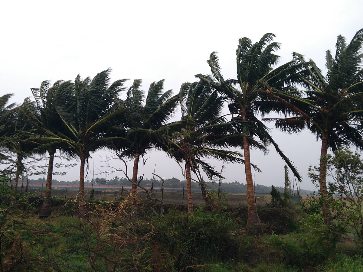 Cyclone Phethai in East Godavari Photo Gallery - Sakshi30