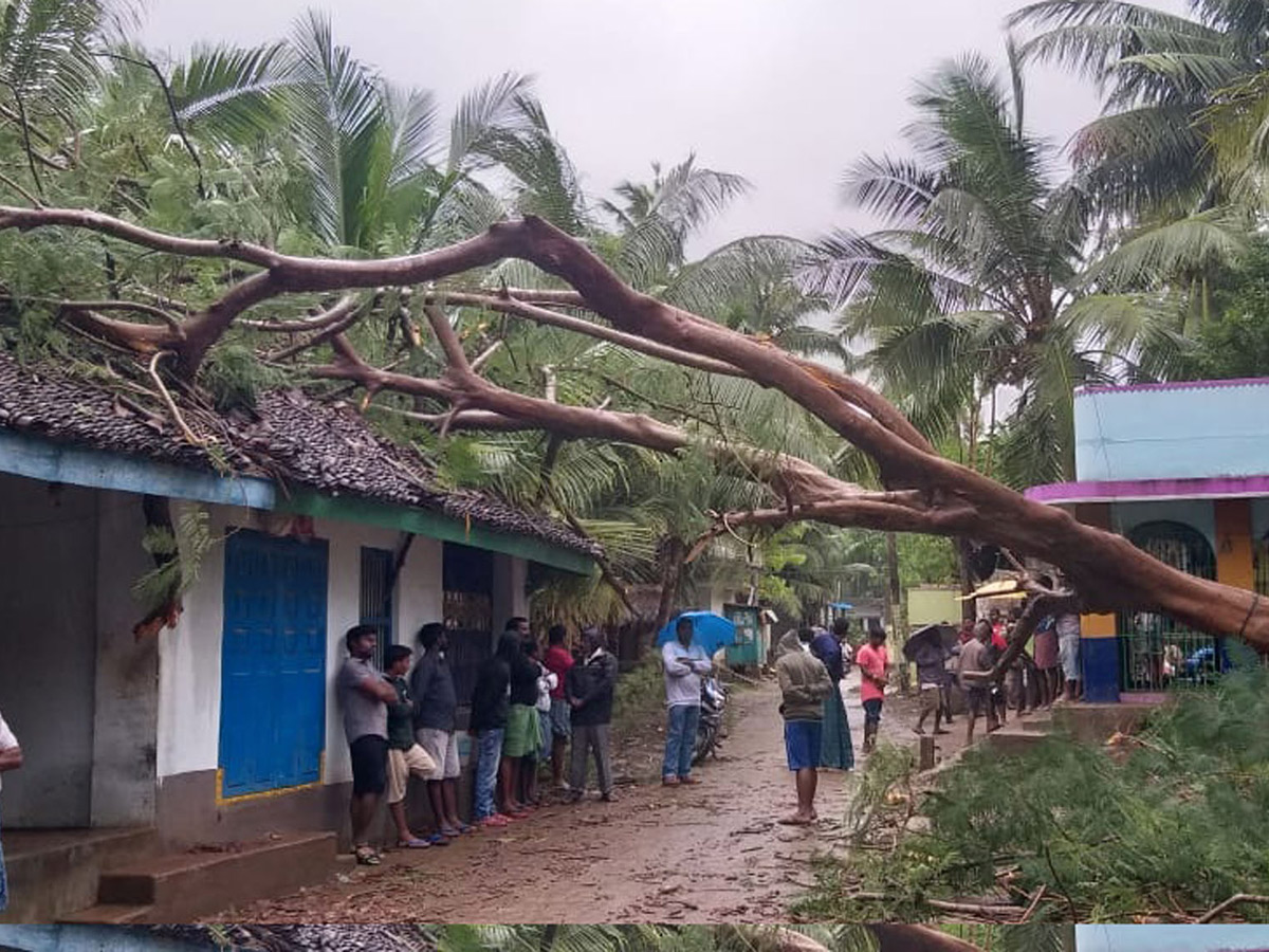 Cyclone Phethai in East Godavari Photo Gallery - Sakshi31