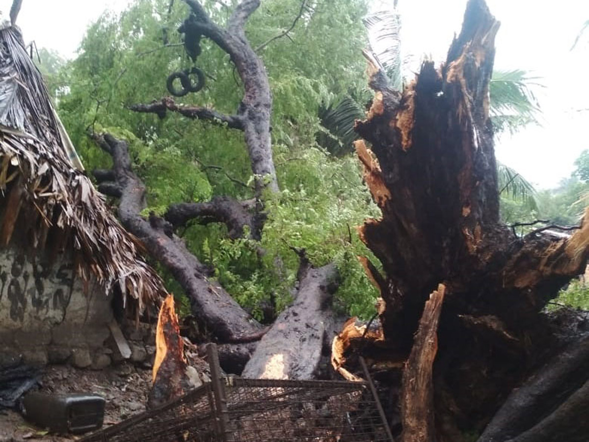 Cyclone Phethai in East Godavari Photo Gallery - Sakshi4