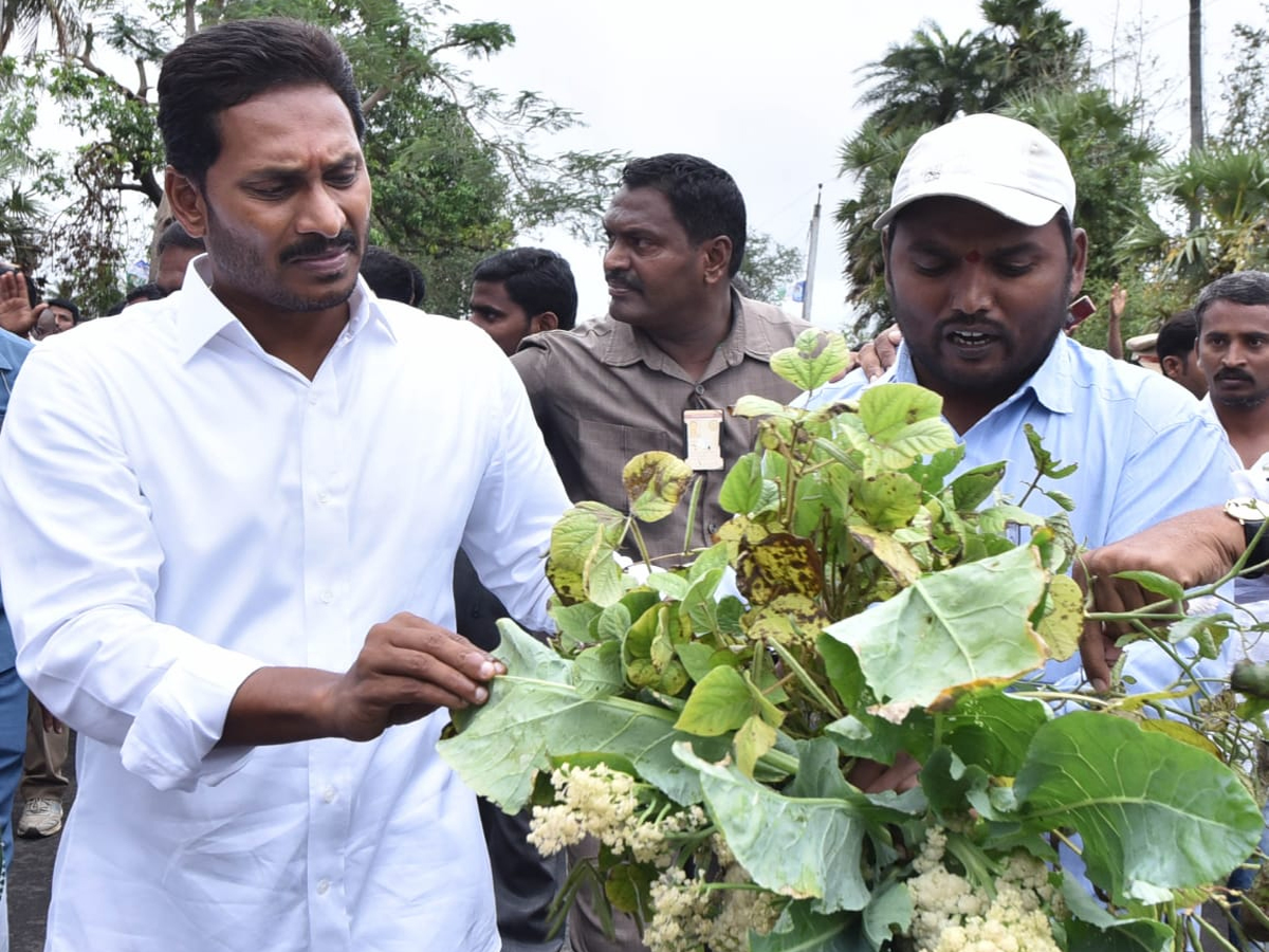 YS Jagan PrajaSankalpaYatra Day 324th Photo Gallery - Sakshi26