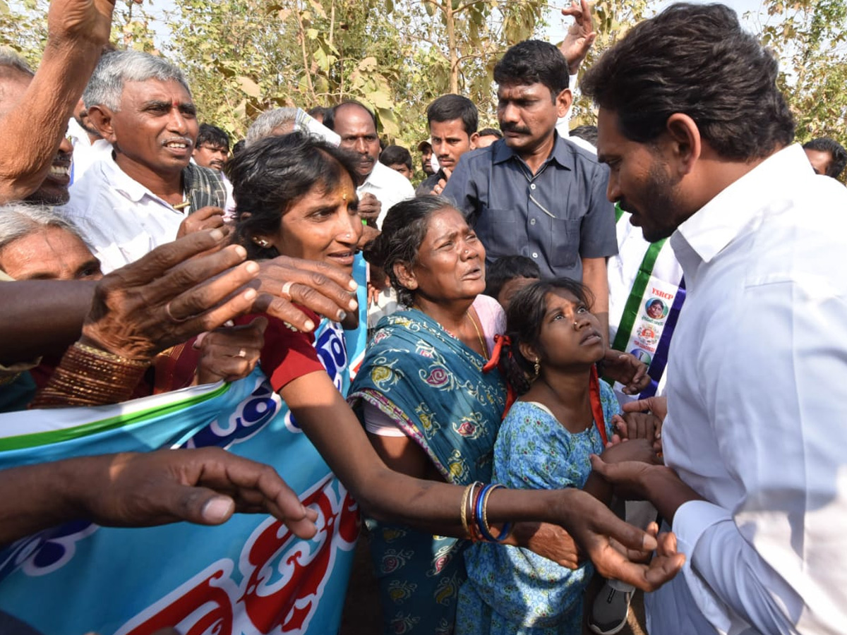 YS Jagan PrajaSankalpaYatra Day 310th Photo Gallery - Sakshi2