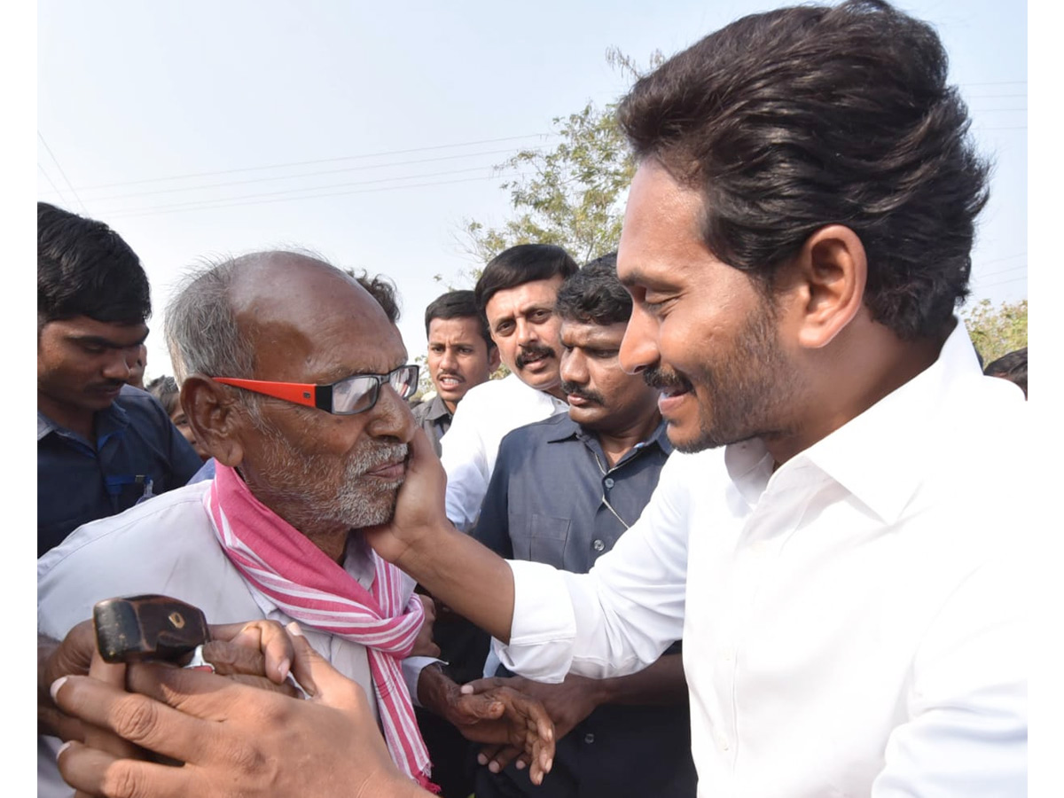 YS Jagan PrajaSankalpaYatra Day 310th Photo Gallery - Sakshi21