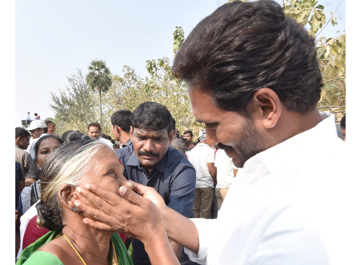 YS Jagan PrajaSankalpaYatra Day 310th Photo Gallery - Sakshi24