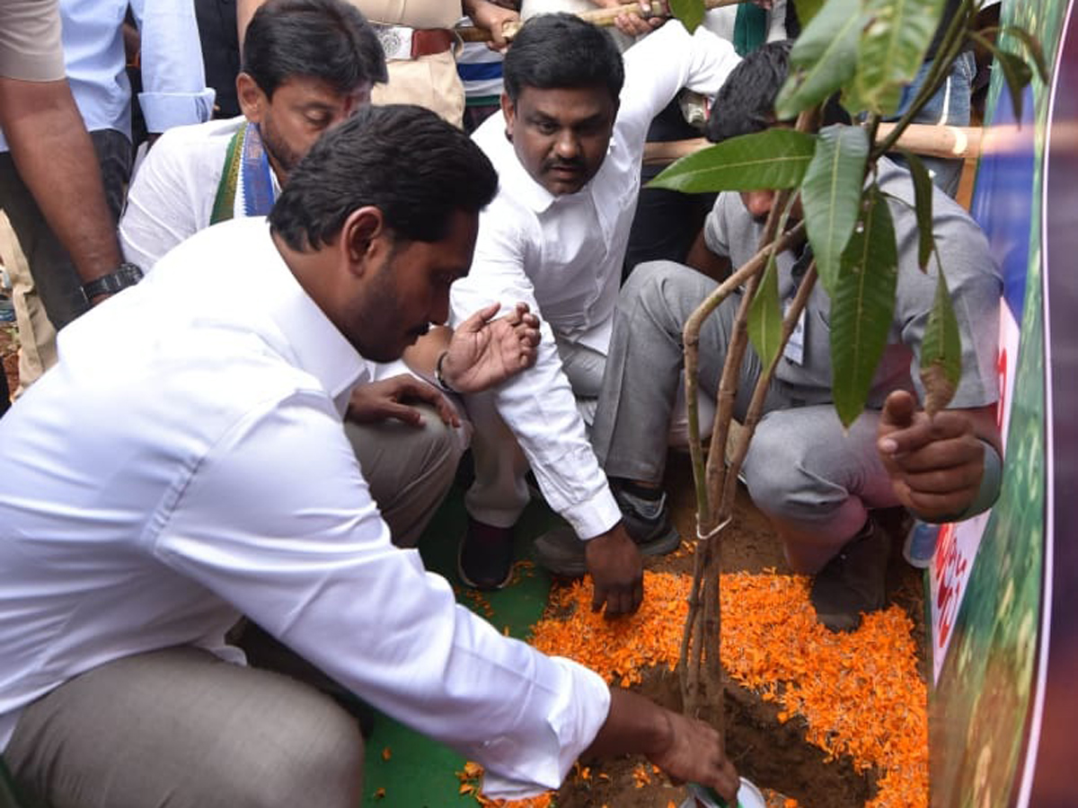 YS jagan padayatra at Srikakulam photo gallery - Sakshi2