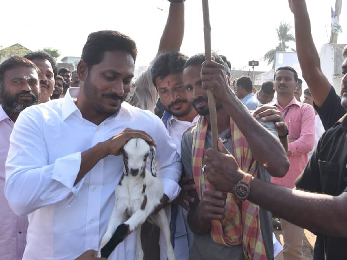 YS jagan padayatra at Srikakulam photo gallery - Sakshi22