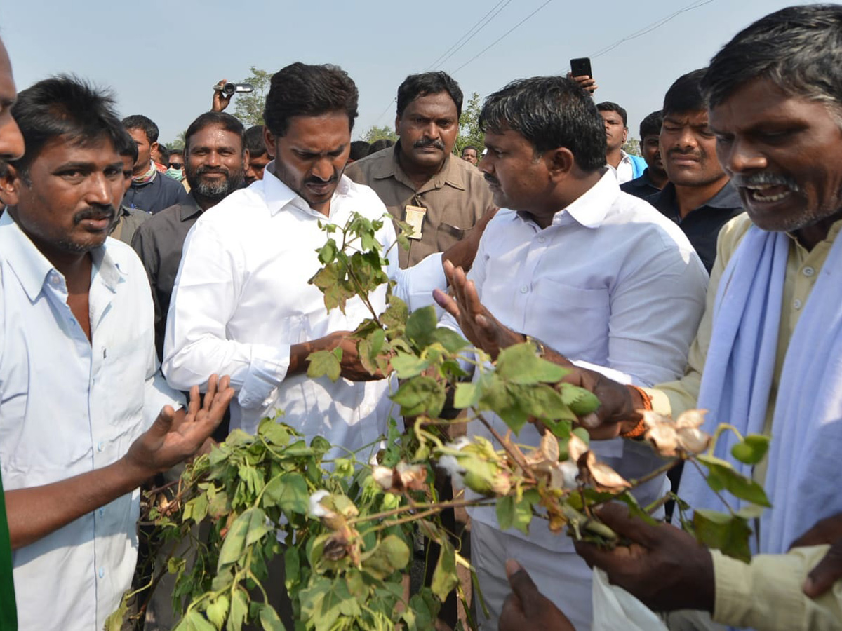 YS jagan padayatra at Srikakulam Photo Gallery - Sakshi32