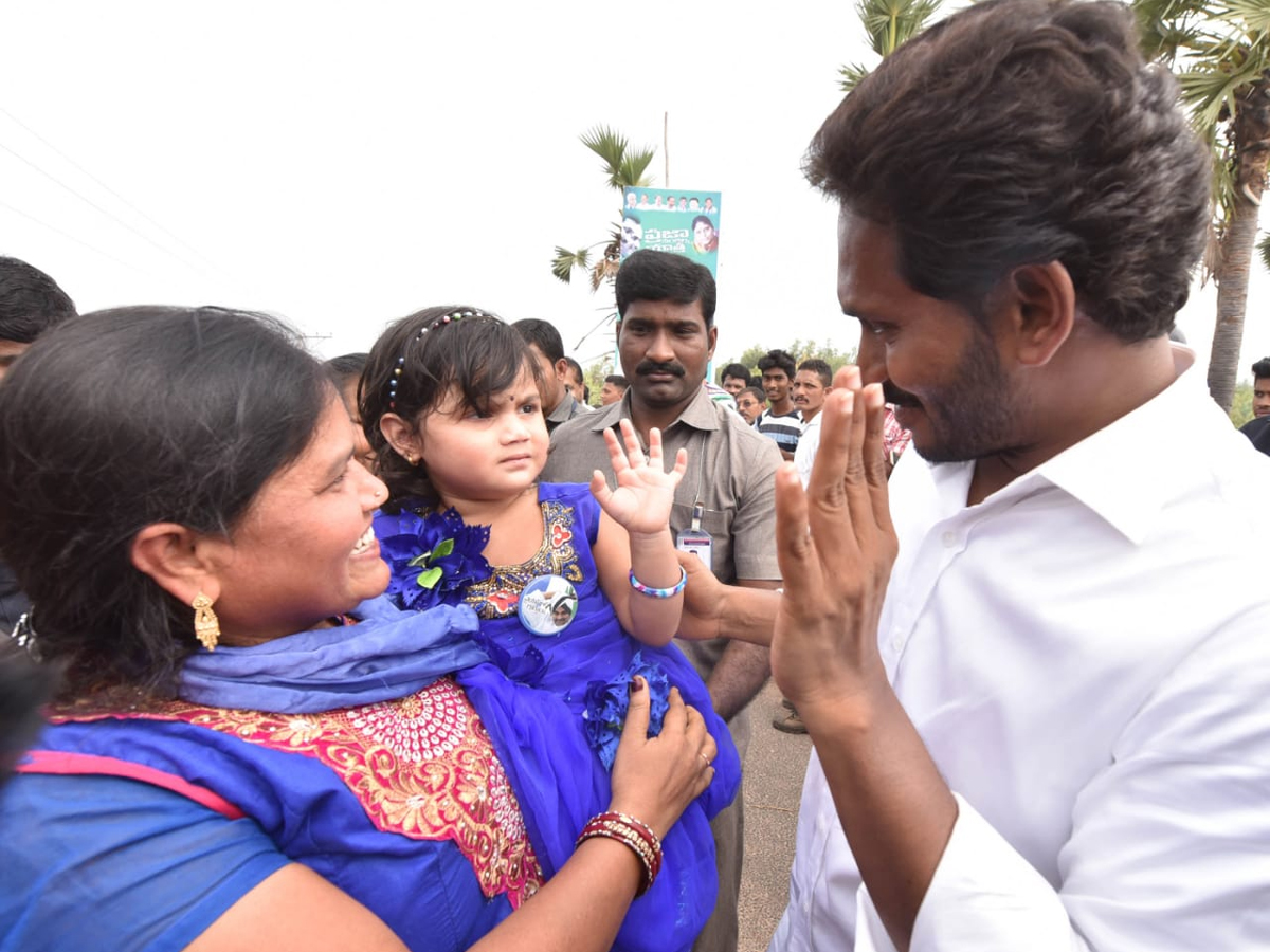 YS Jagan PrajaSankalpaYatra Day 315th Photo Gallery - Sakshi17