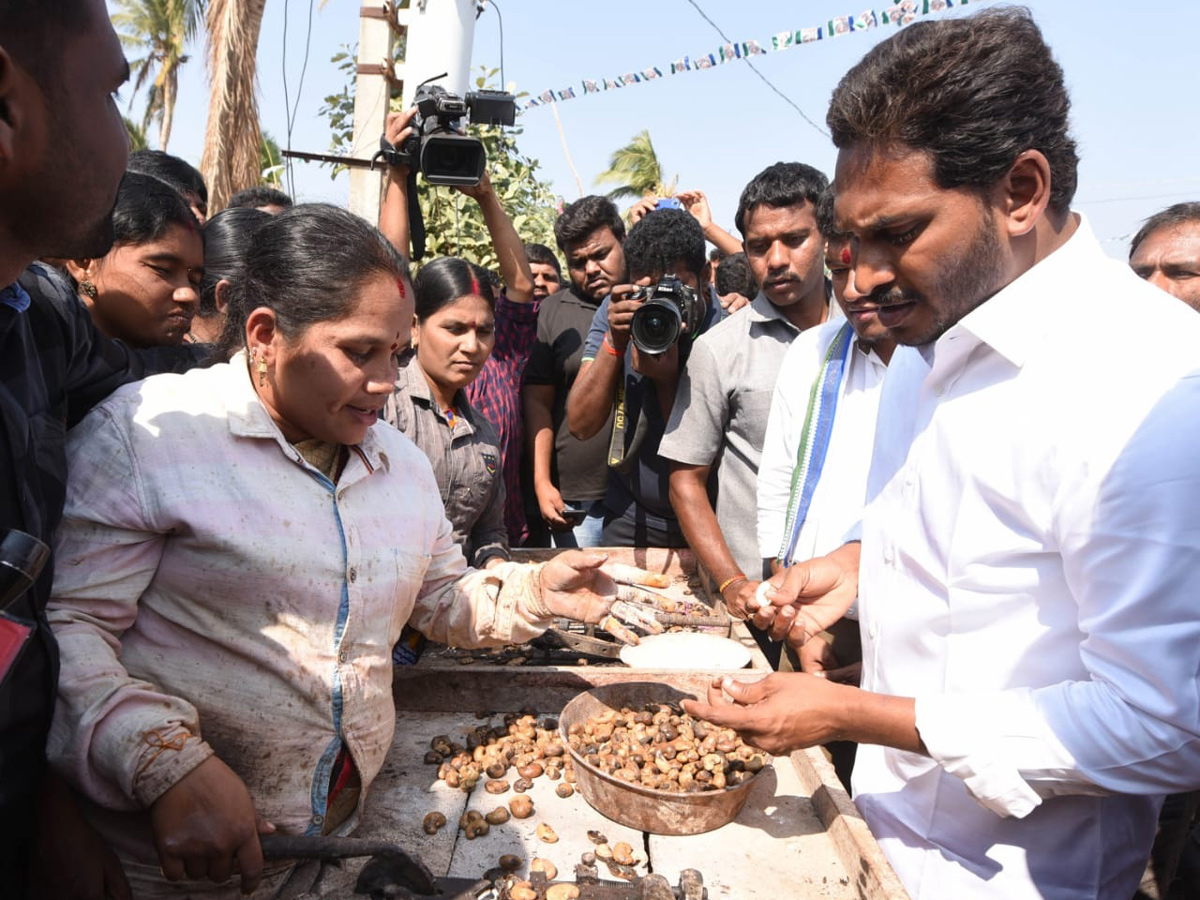 YS jagan padayatra at Sikakulam photo gallery - Sakshi31