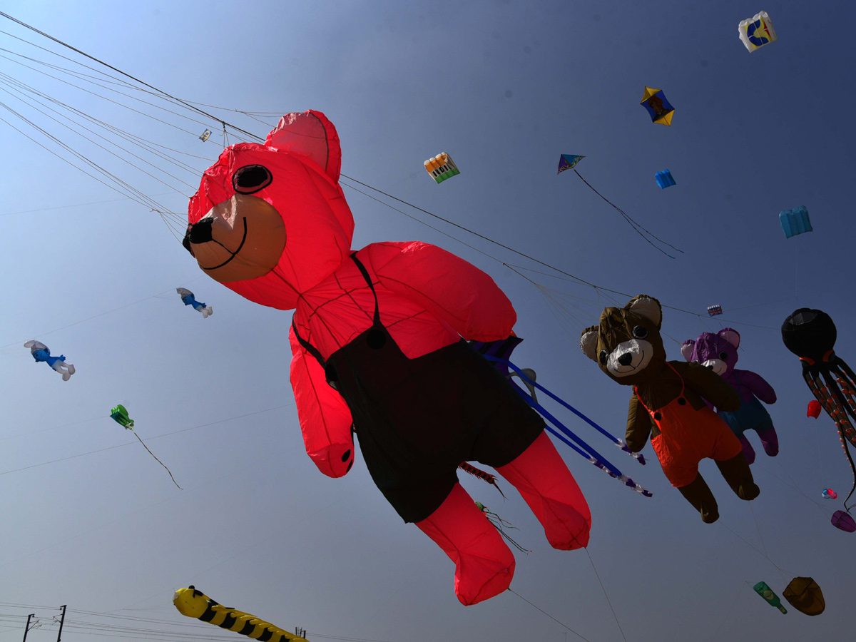 Telangana Kites festival 2019 Photo Gallery - Sakshi11