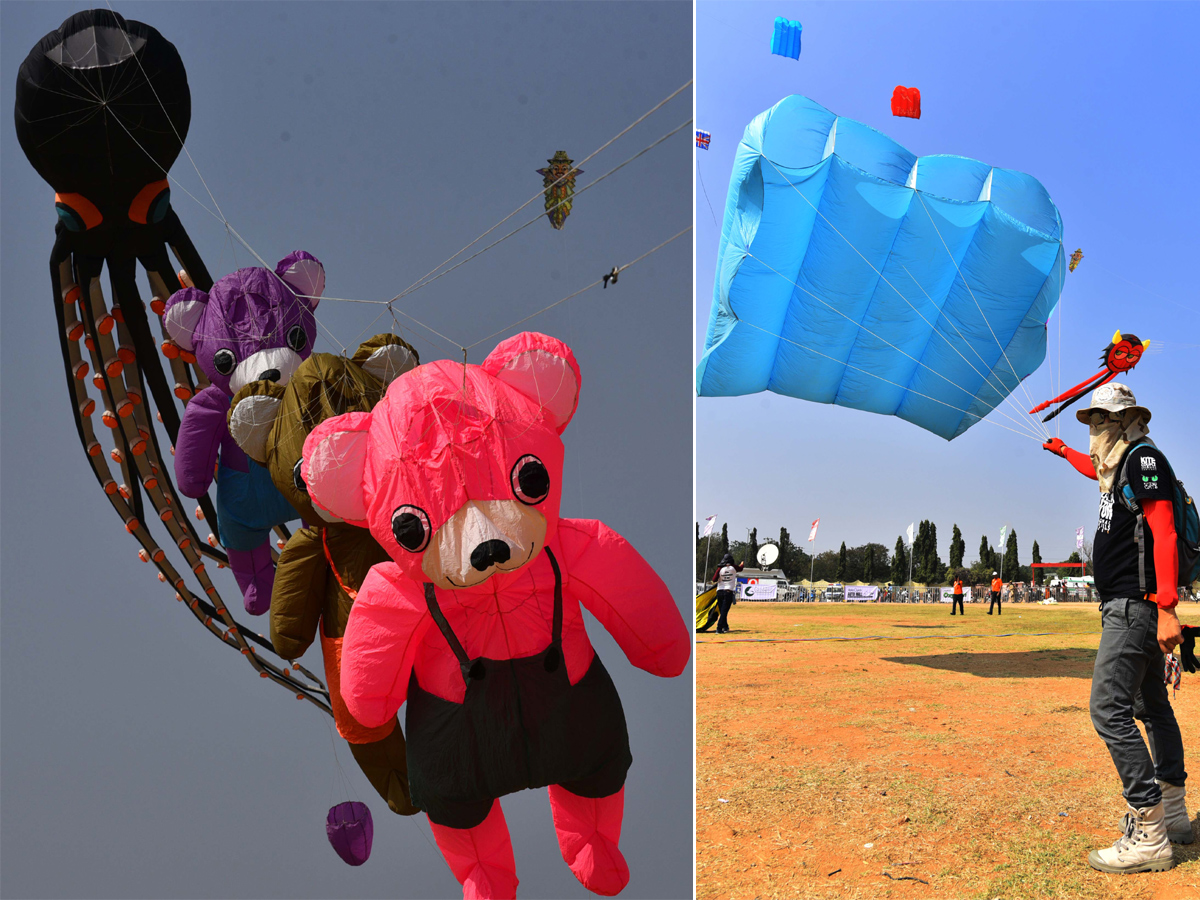 Telangana Kites festival 2019 Photo Gallery - Sakshi31