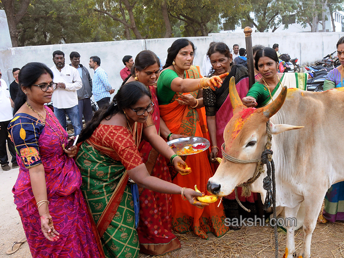 sankranti festival In Nalgonda - Sakshi24