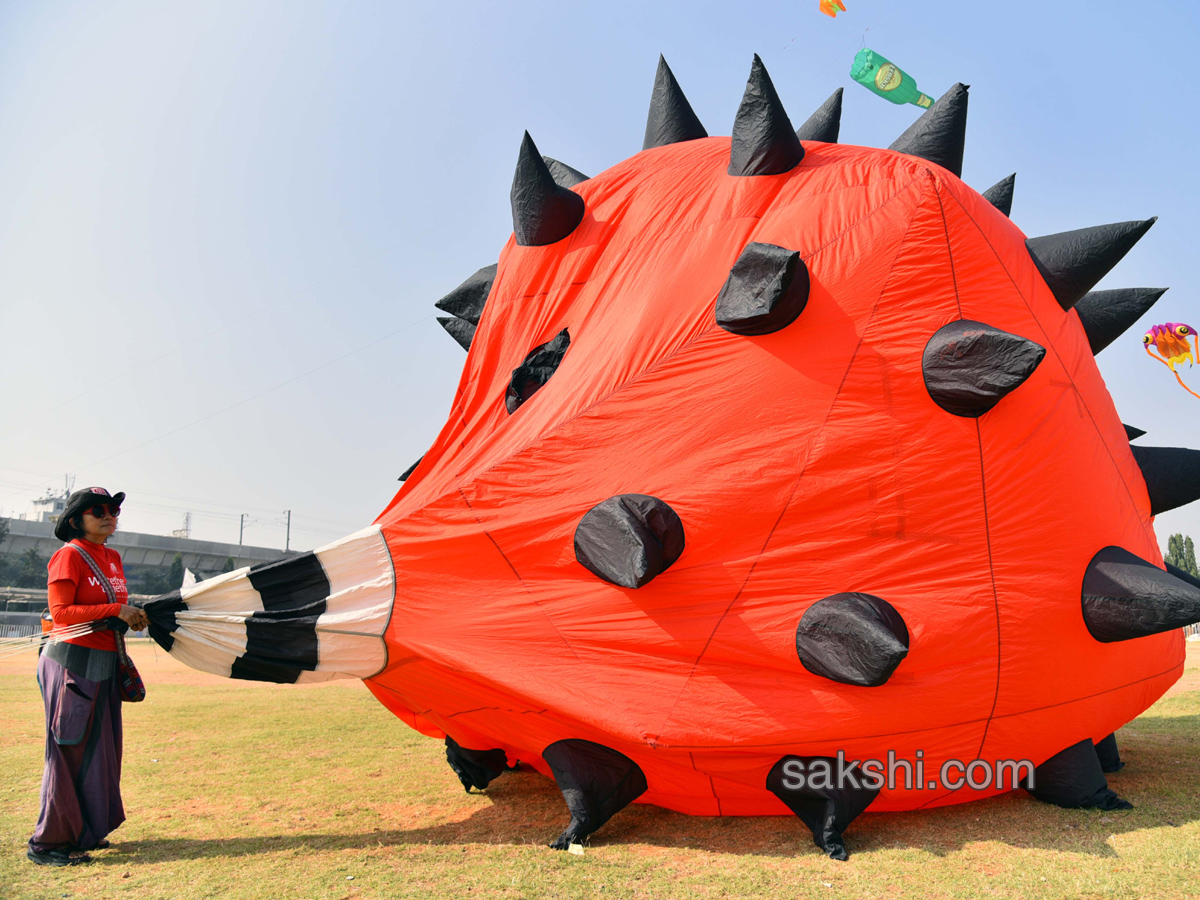 successful international kite festival - Sakshi8