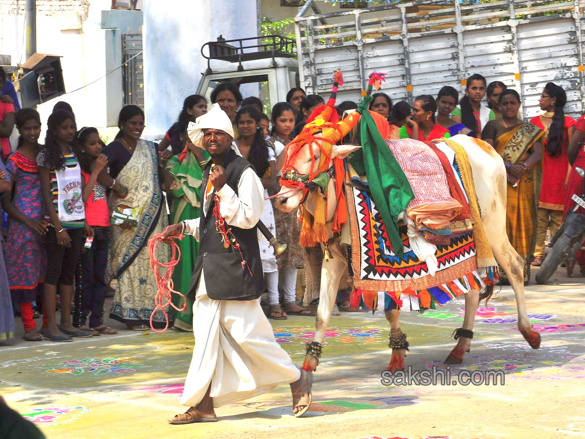 sankranti festival In Nalgonda - Sakshi14