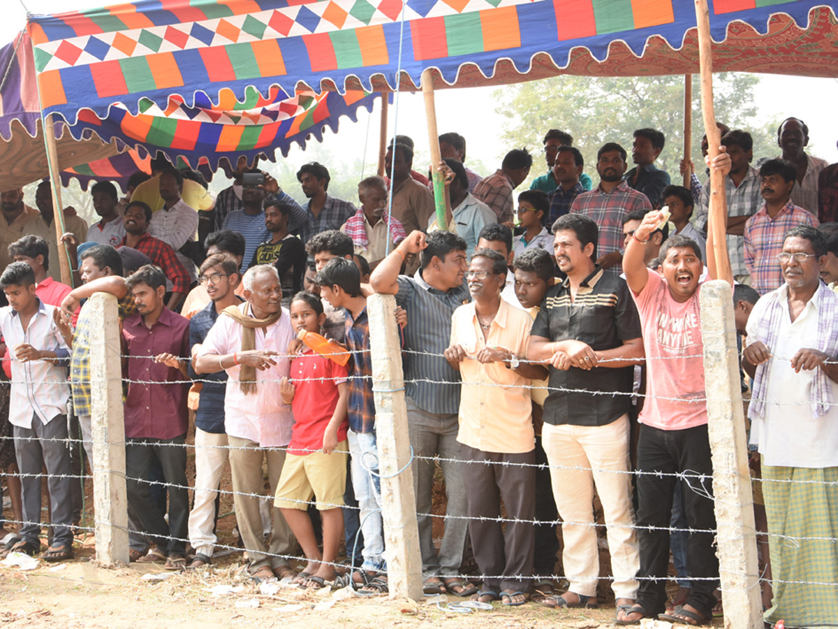 Cock Fighting In Sankranti Festival Celebrations In Andhra Pradesh - Sakshi6