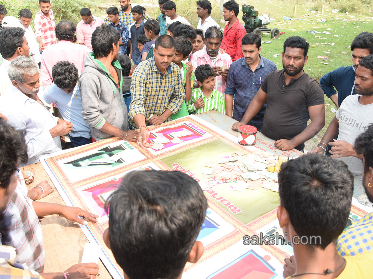 Cock Fighting In Sankranti Festival Celebrations In Andhra Pradesh - Sakshi7