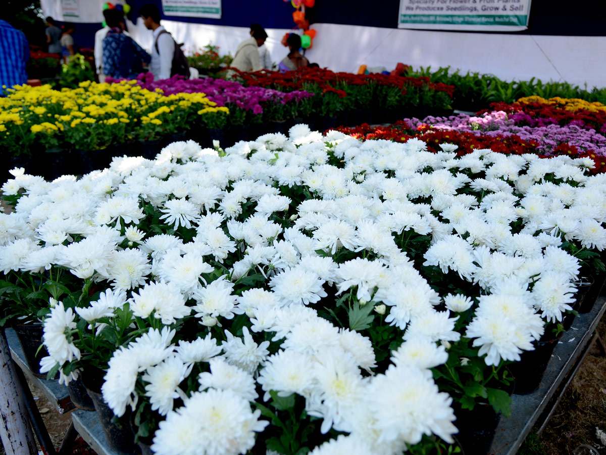 All india horticulture exhibition started at peoples plaza - Sakshi16