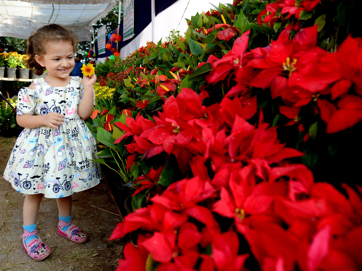 All india horticulture exhibition started at peoples plaza - Sakshi2