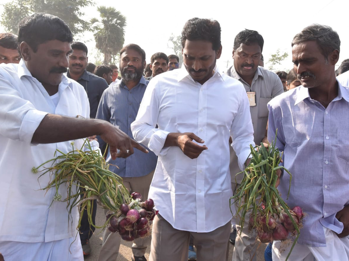 YS jagan padayatra at Sikakulam District photo gallery - Sakshi1