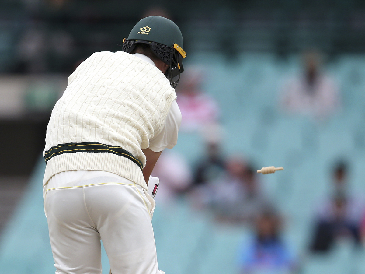 India register maiden Test series victory in Australia Photo Gallery - Sakshi15