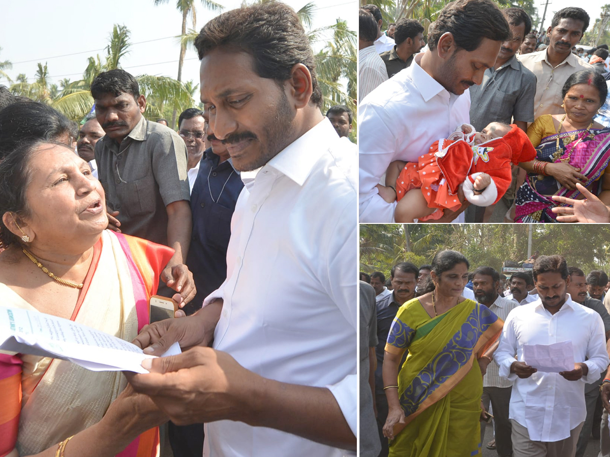 YS Jagan PrajaSankalpaYatra Day 339th Photo Gallery - Sakshi33