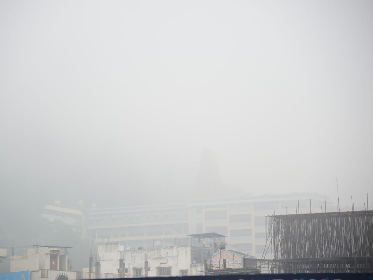 Fog On Vijayawada Photo Gallery - Sakshi10