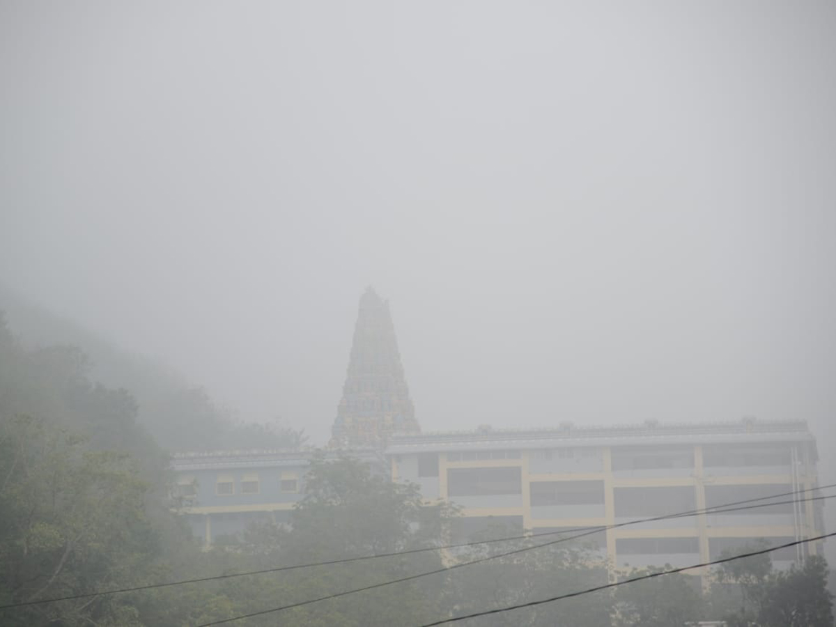 Fog On Vijayawada Photo Gallery - Sakshi9