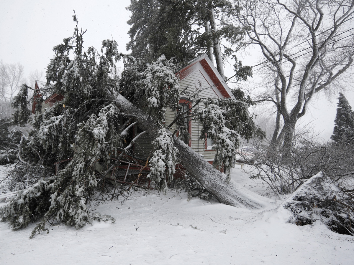 Bomb Cyclone in America Photo Gallery - Sakshi7