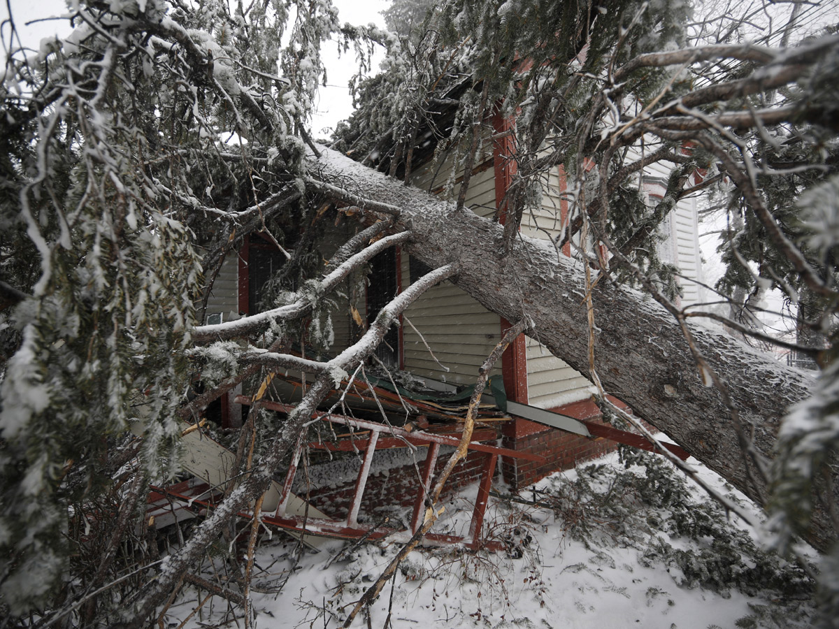 Bomb Cyclone in America Photo Gallery - Sakshi8