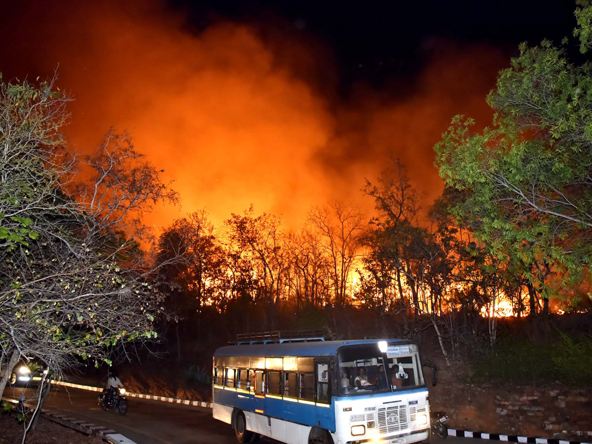 Fire Accident in Tirumala Forest Photo Gallery - Sakshi1