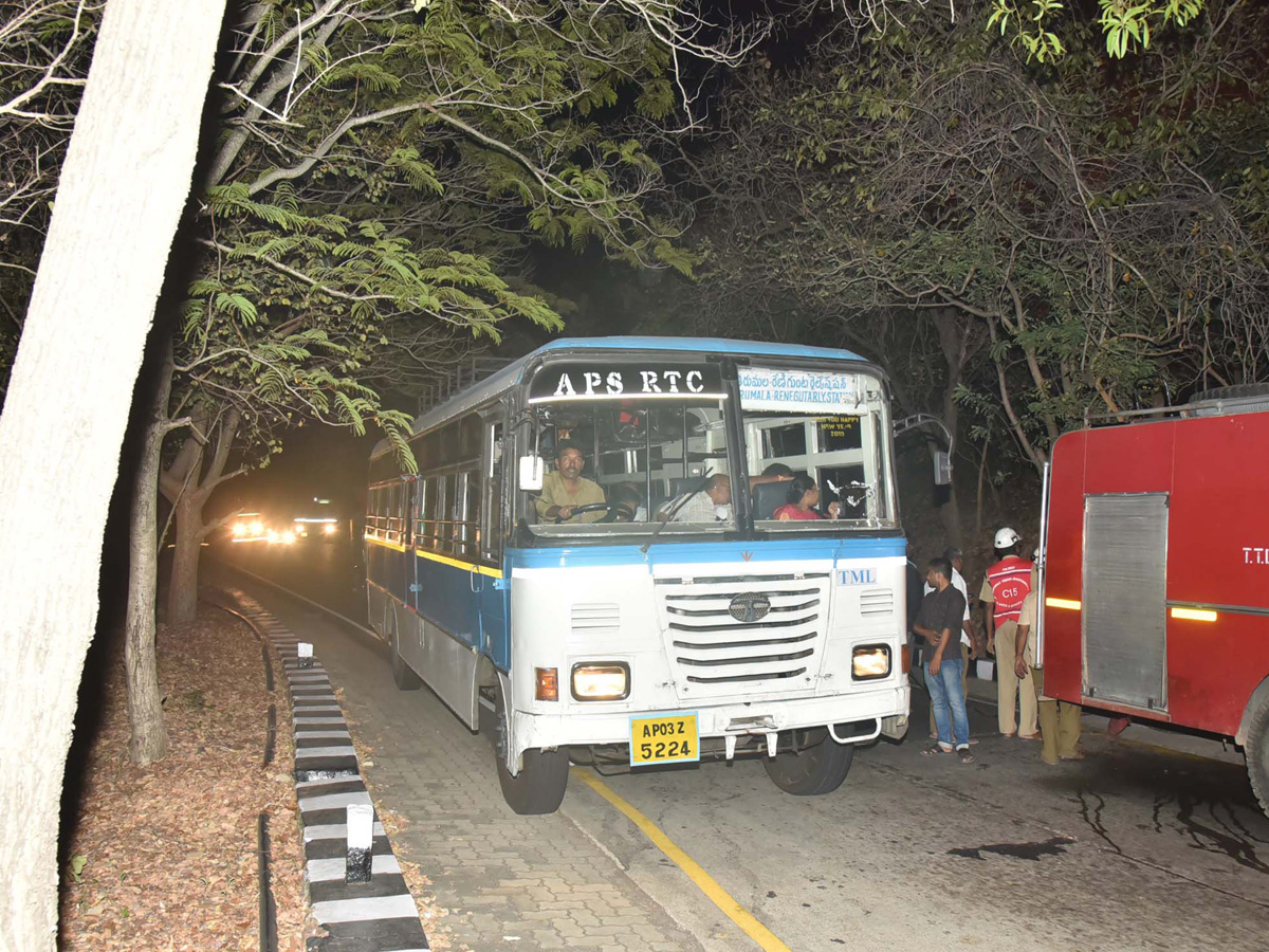 Fire Accident in Tirumala Forest Photo Gallery - Sakshi10