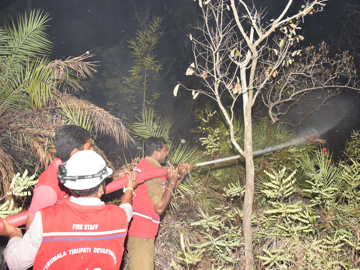 Fire Accident in Tirumala Forest Photo Gallery - Sakshi11