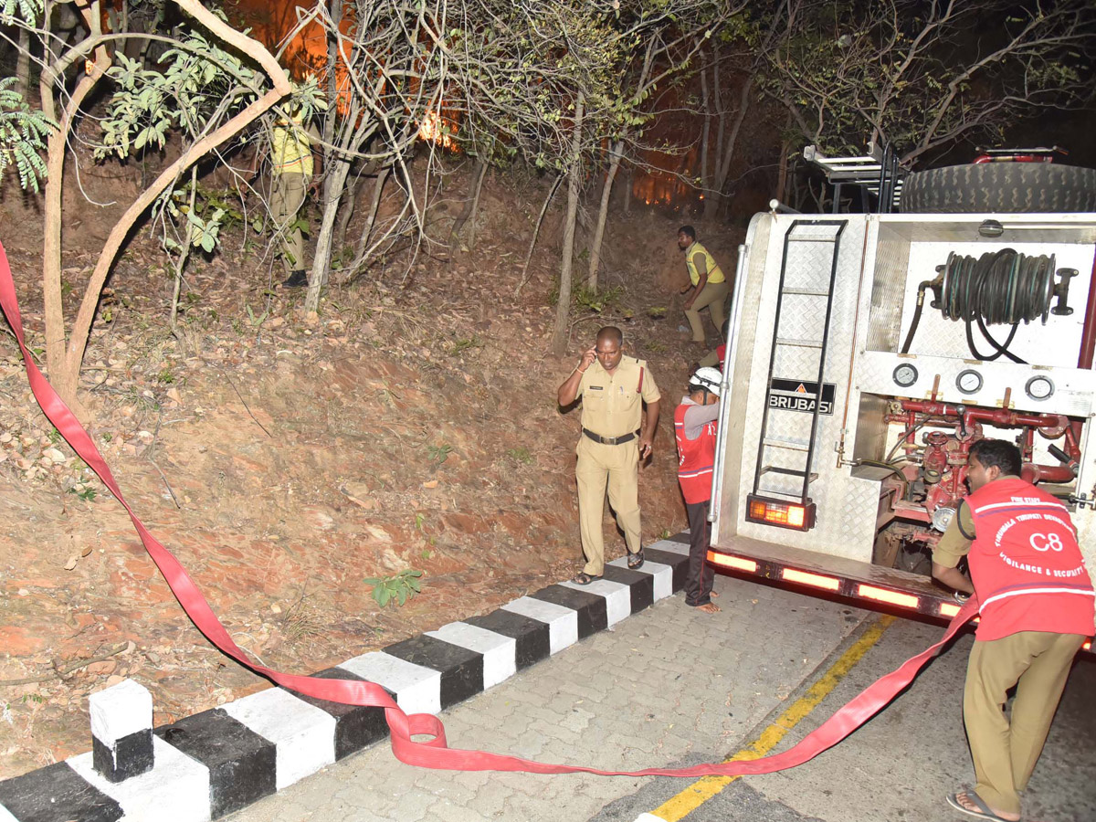 Fire Accident in Tirumala Forest Photo Gallery - Sakshi12