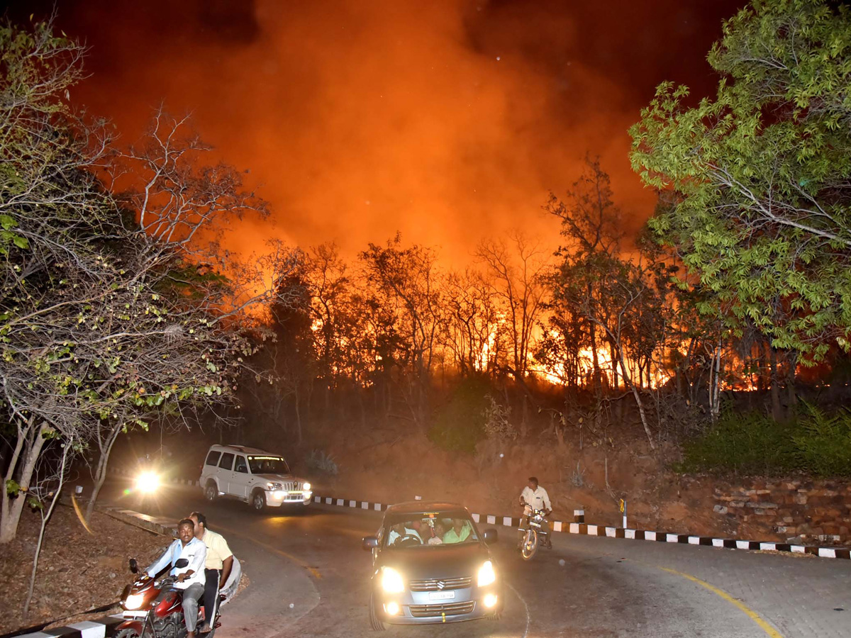 Fire Accident in Tirumala Forest Photo Gallery - Sakshi3