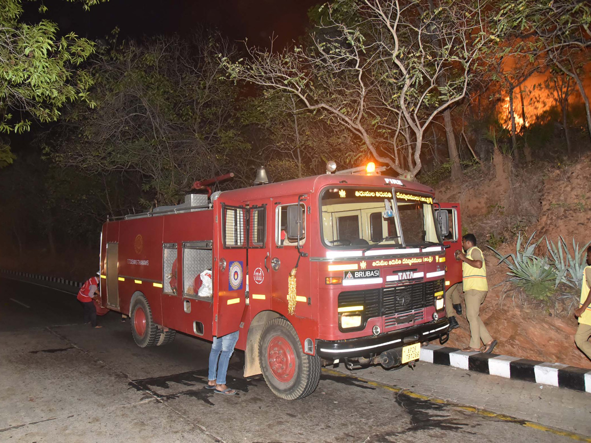 Fire Accident in Tirumala Forest Photo Gallery - Sakshi5