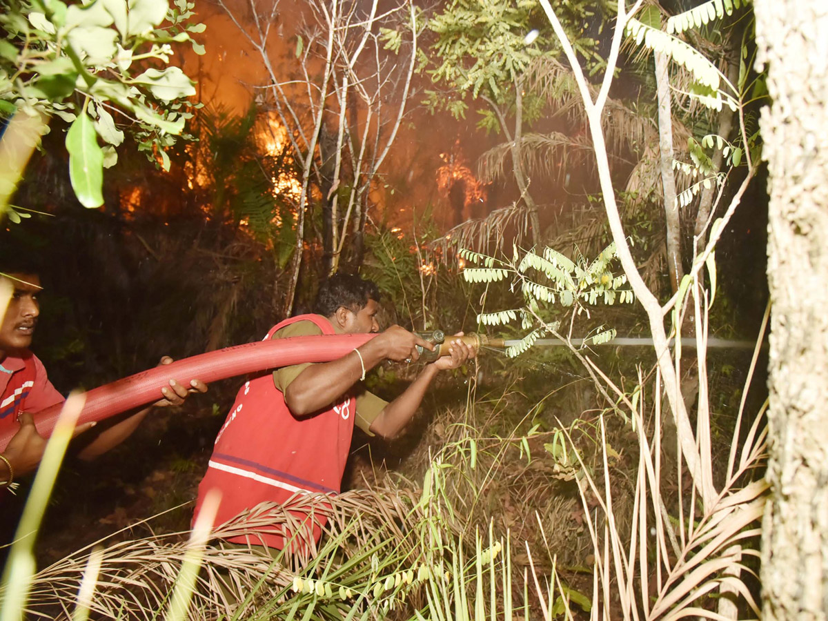 Fire Accident in Tirumala Forest Photo Gallery - Sakshi7