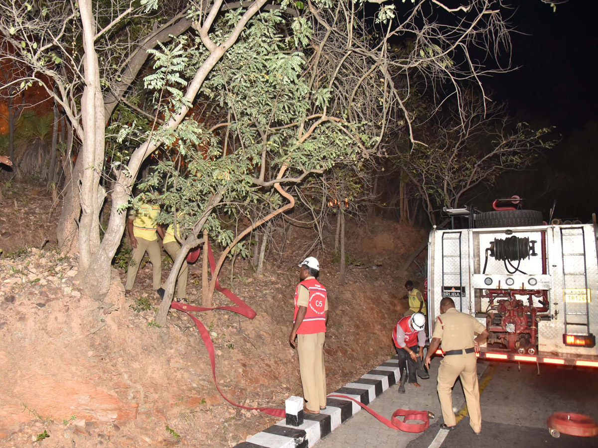 Fire Accident in Tirumala Forest Photo Gallery - Sakshi8